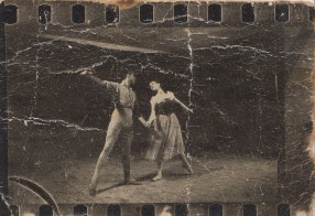 סילפידיה (1955 - מיא ארבטובה)